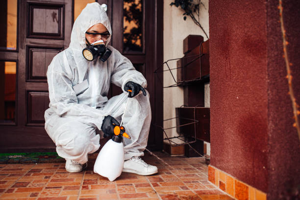 Reliable Wasp Removal contractor in Altavista, VA by Show Me Pest Control